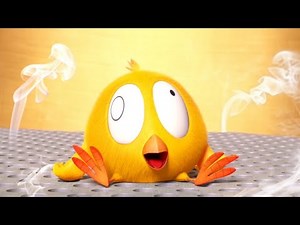 CORNER KITCHEN | Where's Chicky? | Best Cartoon Collection in English for Kids | New episodes