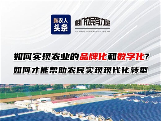 如何实现农业的品牌化和数字化?