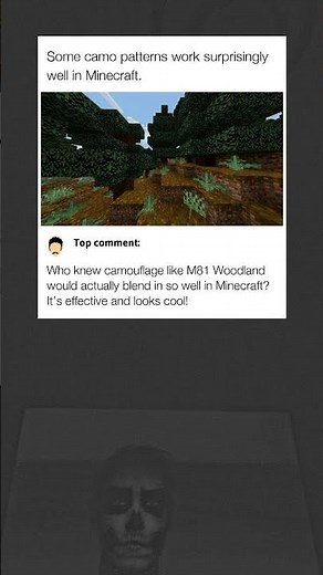 Camouflage Patterns in Minecraft
