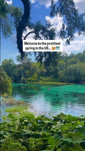 I can’t believe so many people skip this spot… Rainbow Springs State Park in Dunnellon, FL is one