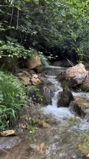 Into the Heart of Morocco’s Nature #visitermaroc #frenchinmorocco #marrakechtours #marrakech