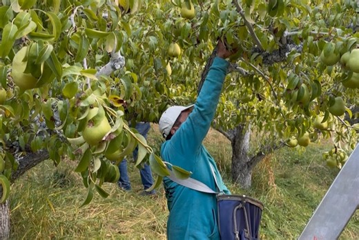Wenatchee Valley College on Reels