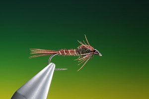 Fly Tying for beginners – Pheasant tail nymph