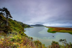 Redwood In The Fall (Everything You Need to Know)