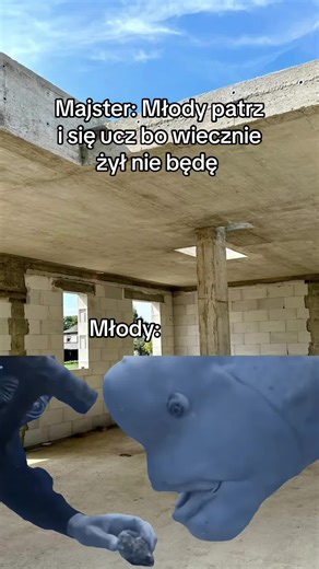 Budowa domu: Mądrości Majstra dla Młodych