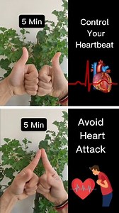 Do these Finger exercise Avoid heart problems Improve circulation and metabolism Relaxes heart muscles Removes blood blockage in the body 5 minutes daily can do in 2-3 steps Yogvidya #fingerexercises #hearthealth #heartattack #circulation #metabolism #metabolichealth #mudras #healing #healingjourney #stressrelief #stressfree #anxiety #yoga #yogalifestyle #yoga #facebookreel #viralpost2025 #trend #trendingreels #viralvideo | Yogvidya