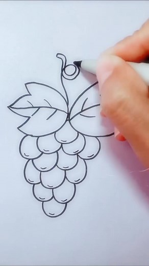 Colorful Odyssey on TikTok