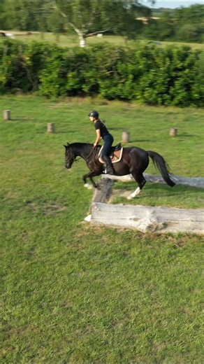 Le Mountain Trail, c'est quoi ? C'est plus que des obstacles en extérieur. C'est la discipline qui transforme chaque difficulté en opportunité pour votre cheval d'apprendre à gérer ses émotions seul 💫. C'est le TEST DE CONNEXION de votre duo. Votre cheval gagne en autonomie émotionnelle et apprend à se faire confiance 💪. Il devient acteur et zen face à toute situation nouvelle. Votre rôle ? Accompagner son apprentissage ! 👉 Vous apprenez à en faire moins pour obtenir mieux et à guider avec pl