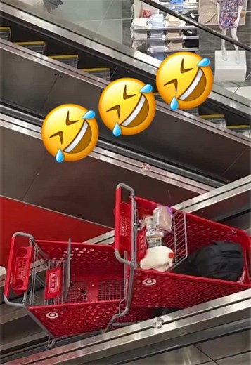 Soooo, this is how shopping carts are made… #funnyvideo #funny #viral #viralvideo #fypage