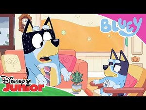 😎 Bluey the Boss | Bluey | Disney Kids