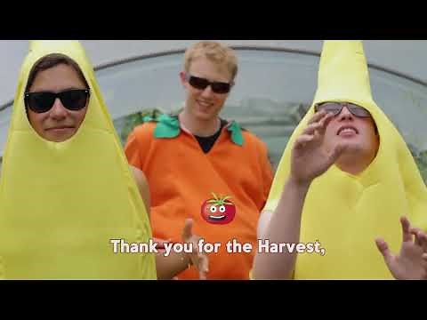 Harvest Samba