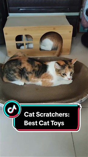 Get these scratching board and wooden cat house with scratchers for your cats today! ✨ #catscratchers #catscratchingboard #woodencathouse #cathouse #cattoys #catlovers #catsofttiktok #pusa