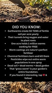 You're buying fertilizer while killing the workers who make it for free. 🪱 Earthworms create 50 TONS of fertile soil per acre. Their tunnels deliver water and oxygen straight to your plant roots. Their poop? Nature's perfect fertilizer. One pesticide application. One million dead worms. That fancy garden soil you bought? You killed what made it. That "gross worm" is your garden's entire life support system. #didyouknow #earthworms #gardening #organicgardening #soil #soilhealth #growyourown #veg