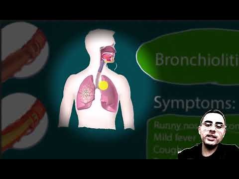 Lower Respiratory Infections: Bronchitis, Pneumonia, Bronchiolitis.