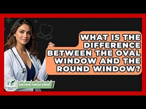 What Is The Difference Between The Oval Window And The Round Window? - Ear Nose Throat Expert