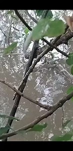 Orlando Rafael Beltran Zurita on Reels