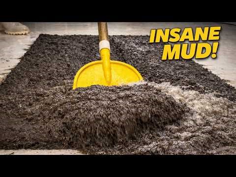 This Carpet Absorbed Dirt Like a Sponge 😳 | ASMR Deep Cleaning