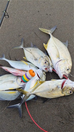 casting on the edge using gacor bait #shorts #shortvideo #viral