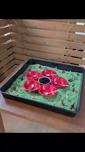 ❤️ Remembrance Day Malleable Activity – Poppy Creation Tray 🌺 This Remembrance Day malleable activity invites children to engage in a meaningful and sensory experience while developing their fine motor skills. The tray is filled with green rice “grass” with little soldiers scattered around, red bowls to represent poppies, and soft black pom-poms for the flower centres. Children use spoons to scoop, pour, and fill — encouraging careful hand–eye coordination and control. As they play, children ca