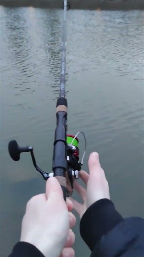 Angeln mit Gummifisch...