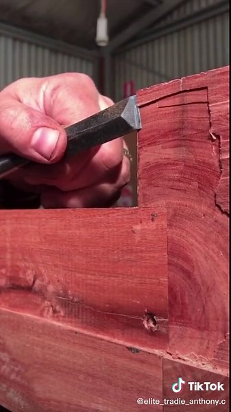 Crafting with Red Iron Bark: A Guide to Creating Unbelievably Dense Woodwork