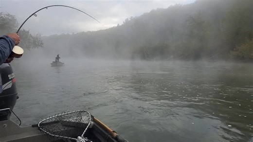 15K views · 221 reactions | Fly fishing the Big Manistee River for King Salmon in October... #BettsGuideService #Salmon | Chad Betts | Facebook