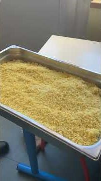 Les agents de restauration scolaire