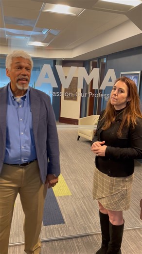 4.3K views · 31 reactions | As Dog Bite Prevention Week comes to a...