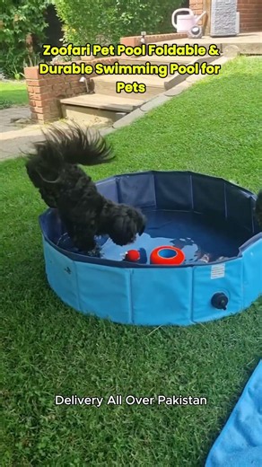 Zoofari Pet Pool | Foldable & Durable Swimming Pool for Dogs & Pets