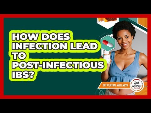 How Does Infection Lead To Post-infectious IBS? - Gut Wellness Central