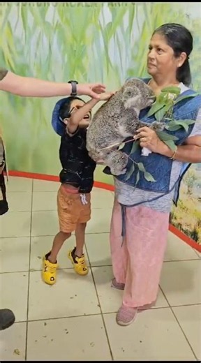 Koala hug moments that will melt your heart today!! #koala #australianwildlife #animalrescue #cute