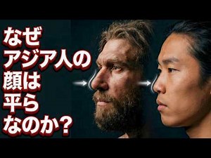 3万年前のシベリア極寒が刻んだ顔の秘密!? 東アジア人の平たい顔と高い頬骨の進化を最新研究で解明