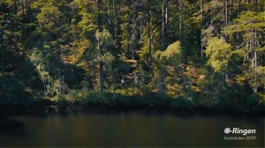 Det har gått 3 veckor sedan O-Ringen Kolmården 2019, sedan orienteringsäventyret, gemenskapen och glädjen! 😍 Med den här filmen vill vi säga ett stort TACK till alla er som skapade äventyret tillsammans med oss! ❤️ _________ 3 weeks since O-Ringen Kolmården 2019, since the great orienteering adventure, the fellowship and the excitement! 😍This movie is our way to say THANK YOU to all of you who created the adventure together with us! ❤️ | O-Ringen