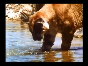 Ranger Cory Lassie (Season 12 Eps.1 Lassie Meets A Challenge)