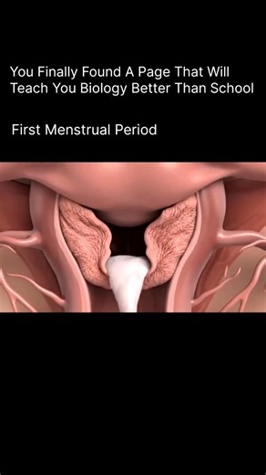 BIOLOGY | MEDICAL | HEALTH | The first menstrual period, also known as menarche, marks the beginning of a girl’s reproductive journey. 🌸 It usually occurs between ages... | Instagram