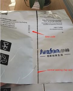 [Hot Item] PE / Laminated Film Ffs Isolated Bagging Roll Process Machine for Auto Packaging