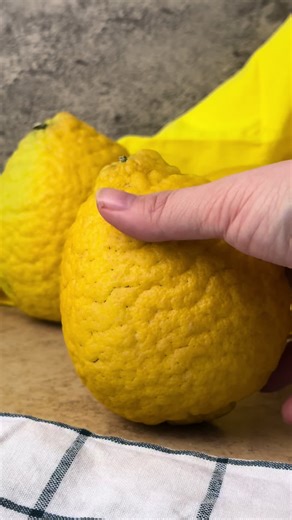 Etrog citrons come in several varieties, so they don’t all look the same. Some are round, some are pointed, and some have that extra-bumpy skin like this one. Lots of seeds, very little juice, and a super fragrant rind. Try it while it's in season and learn more about it on our Specialty Produce App. #etrog #citron #citrus #rarefruit #citrusseason