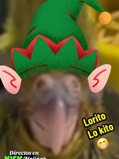 Lorito lo quito xD #humor #video #viral #tiktok #lorito
