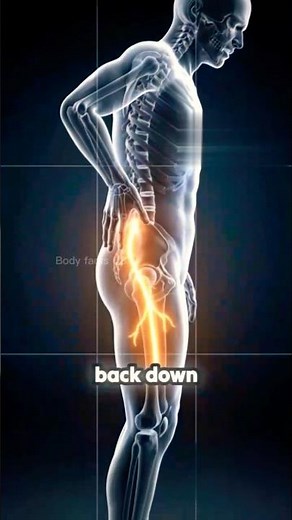 Ever wonder why a bulging disc causes leg pain? See the truth here. #shorts #facts #tranding #bones