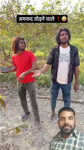 A duckling helps his cat friend 🐥 #duckrescue #CuteAnimalm #AnimalRescue|01032 #shortvideo