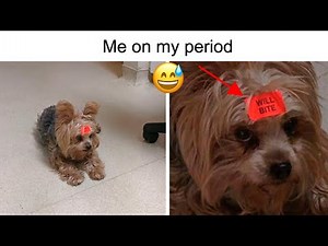 Hilarious Period Memes