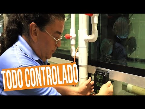 Wattley Discus | How to Check the pH, Temperature, and Nutrients of Your Discus Tank!