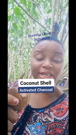 8.9K views · 169 reactions | Make Your Coconut Shell Activated Charcoal. #health #FREE #howto #BreakingNews #food #friends #nature | Healthy Living - Fight Back With Food | Facebook