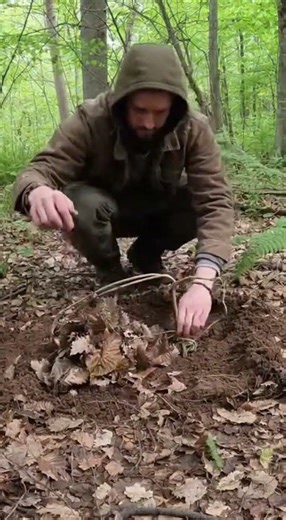 Trap Mastery Secrets Revealed #bushcraft #trap #survival