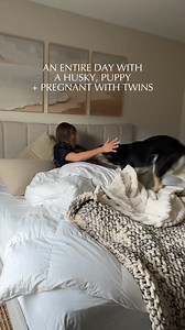 162K views · 7.1K reactions | Struggle through the day with me as the mom to two high energy dogs while pregnant with twins 﫠 #husky #puppy | Levi the Husky Rescue | Facebook