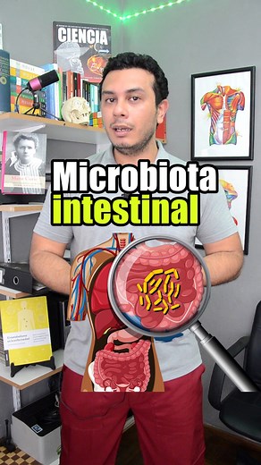 13K views · 402 reactions | Microbiota intestinal y su importancia en la salud | contenidomedico.bruno | Facebook