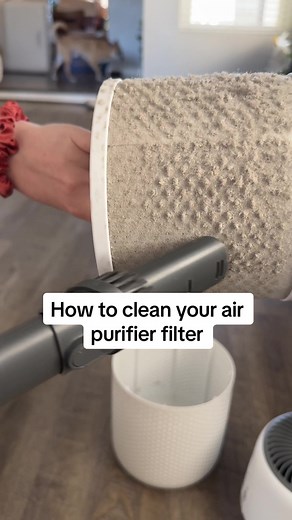 How to clean your @Levoit_official air purifier to keep your air as clean as possible #howtoclean #airpurifier #airpurifierfilter #hepafilter #cleantok