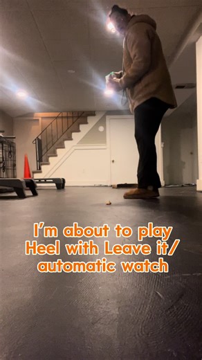 This is a fun and easy indoor game you can play. It helps teach and solidify behaviors like “leave it”, automatic watch, and heel. It’s also great for improving the humans timing and mechanics. We all know the human needs more training than the dog. #dog #dogtraining #doberman #stl #midwest