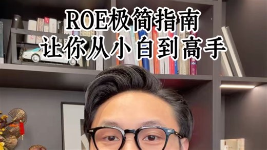 ROE极简指南：让你从小白到高手，一个视频看懂ROE