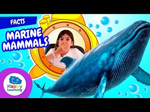 Amazing Facts About Marine Mammals | Educational Videos for Children | Happy Learning - Videos For Kids